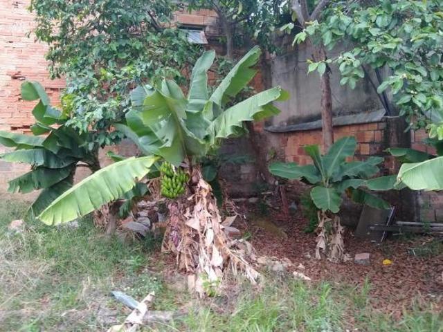 Lote / Terreno à venda em Belo Horizonte, no bairro Concórdia