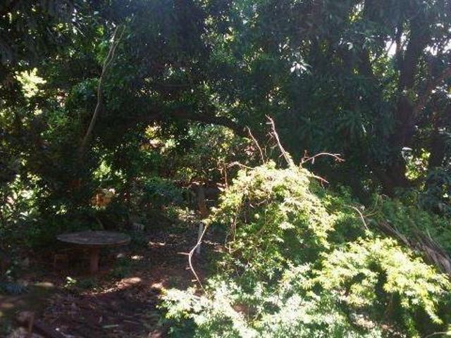 Lote / Terreno à venda em Belo Horizonte, no bairro Betânia