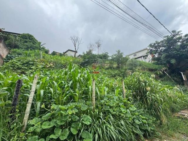Lote / Terreno à venda em Belo Horizonte, no bairro Independência