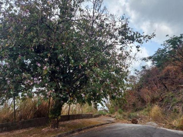 Lote / Terreno à venda em Belo Horizonte, no bairro Santa Lúcia
