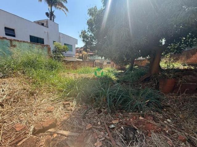 Lote / Terreno à venda em Belo Horizonte, no bairro Universitário