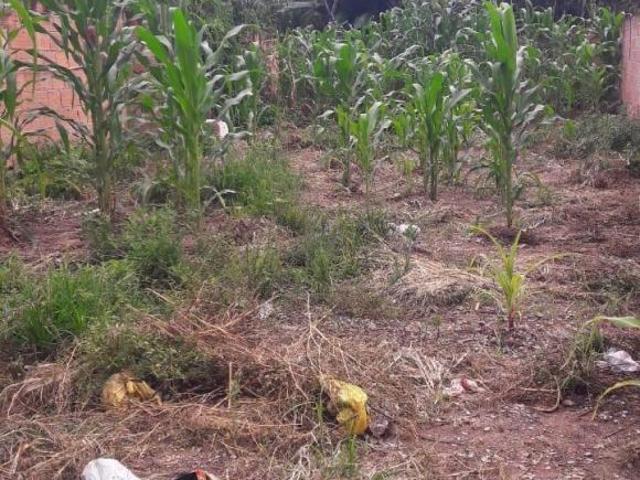 Lote / Terreno à venda em Contagem, no bairro Vila Barroquinha