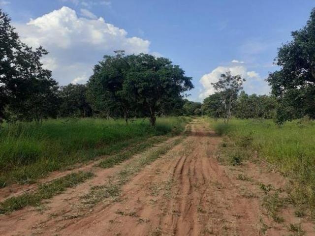 Lote / Terreno à venda em Conceição Do Pará, no bairro Mirante Da Prata