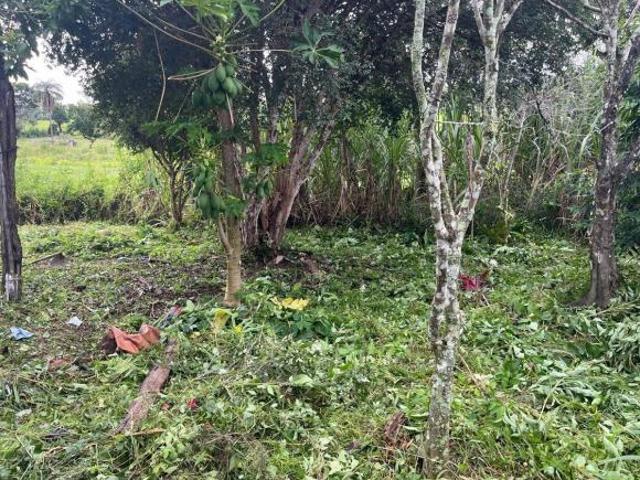 Lote / Terreno à venda em Divinópolis, no bairro Área Rural De Divinópolis
