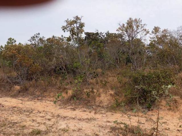 Lote / Terreno à venda em Esmeraldas, no bairro Zona Rural
