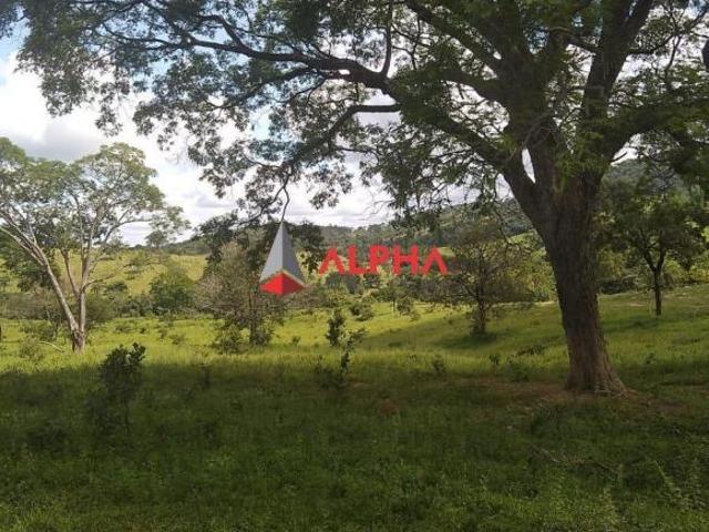 Lote / Terreno à venda em Florestal, no bairro Centro