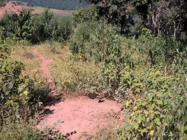 Lote / Terreno à venda em Guapé, no bairro Capitólio