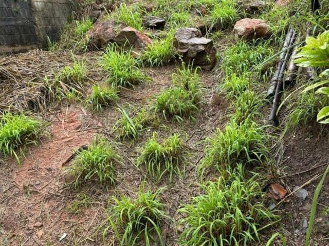 Lote / Terreno à venda em Itabirito, no bairro Nossa Senhora De Fátima