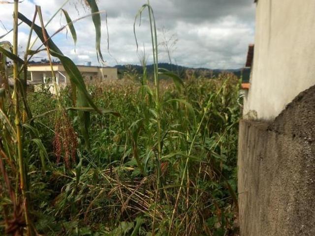 Lote / Terreno à venda em Nepomuceno, no bairro Vila Marina