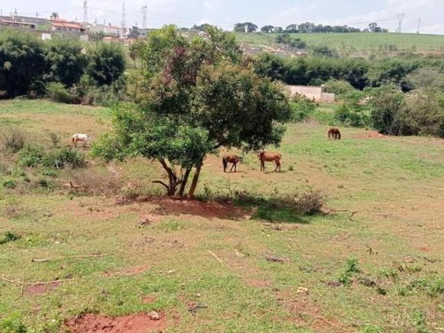 Lote / Terreno à venda em Nepomuceno, no bairro Br 265