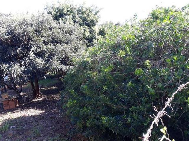 Lote / Terreno à venda em Nepomuceno, no bairro Centro