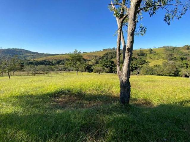 Lote / Terreno à venda em Oliveira, no bairro Capão Comprido