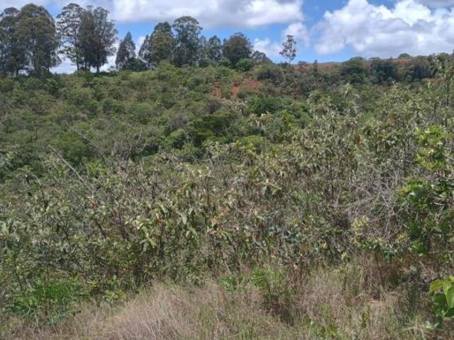 Lote / Terreno à venda em Oliveira, no bairro Rosário