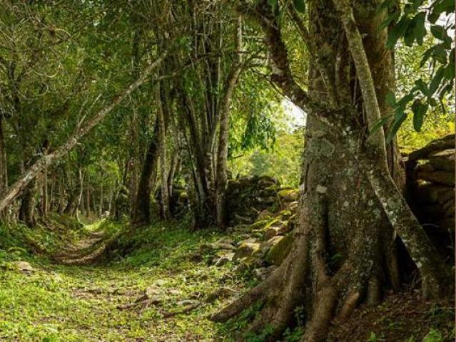 Lote / Terreno à venda em Ouro Preto, no bairro Dom Bosco