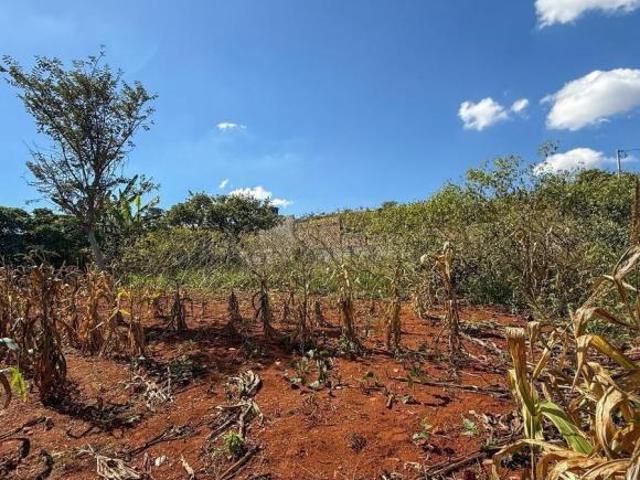 Lote / Terreno à venda em Piumhi, no bairro Nova Piumhi