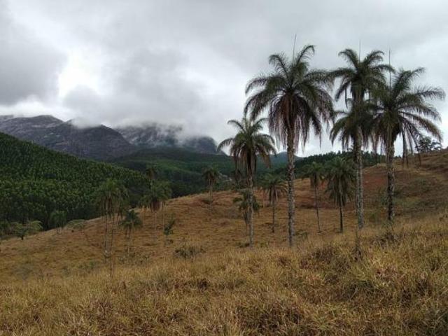Lote / Terreno à venda em Santa Bárbara, no bairro Zona Rural
