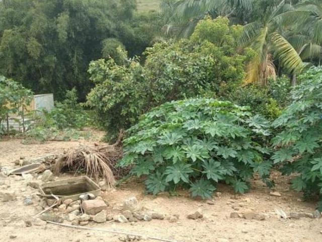 Lote / Terreno à venda em Santa Bárbara, no bairro Florália