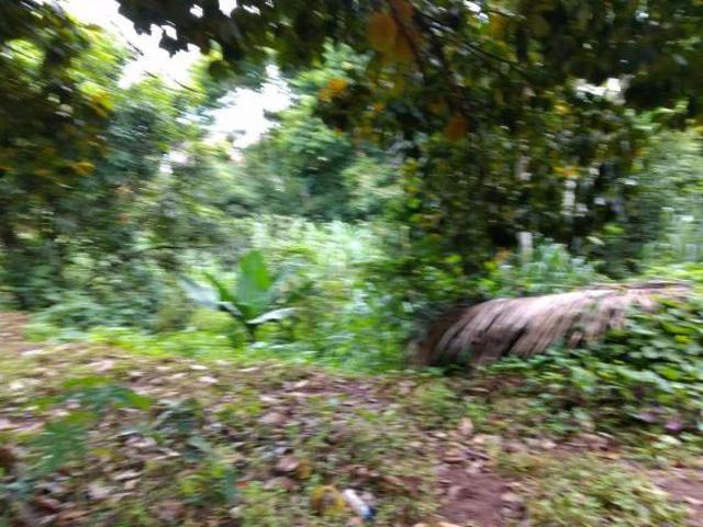Lote / Terreno à venda em Santa Bárbara, no bairro Residencial Santo Antonio