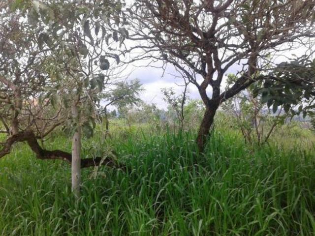 Lote / Terreno à venda em Santa Luzia, no bairro Lagoinha De Fora