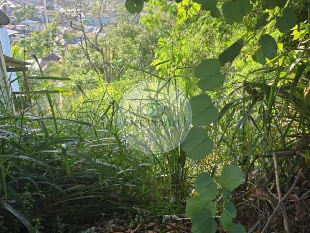 Lote / Terreno em Camarão Ilhabela, SP