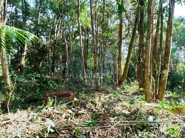 Lote / Terreno em Centro Juquitiba