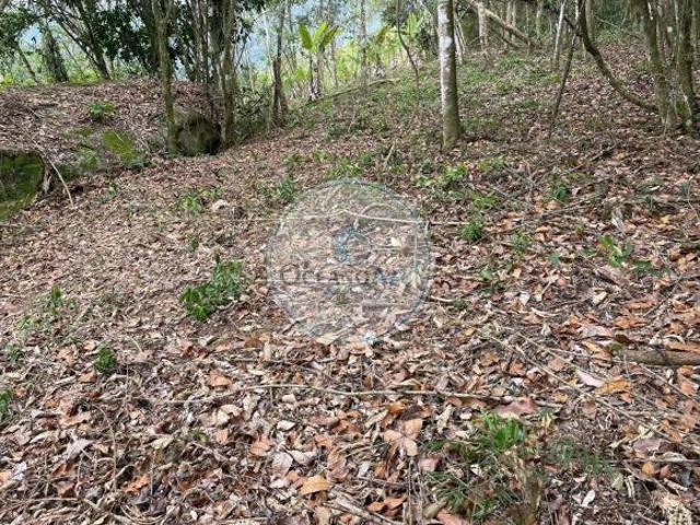 Lote / Terreno em Água Branca Ilhabela, SP