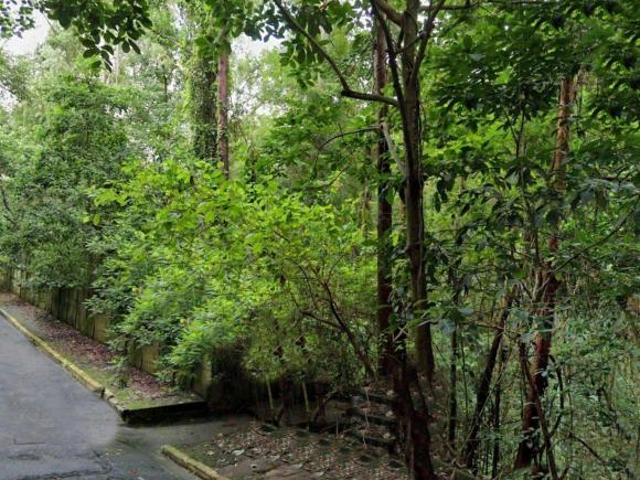 Lote / Terreno em Jardim Ampliacao São Paulo