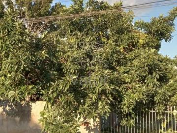 Lote / Terreno em Novo Mundo Curitiba