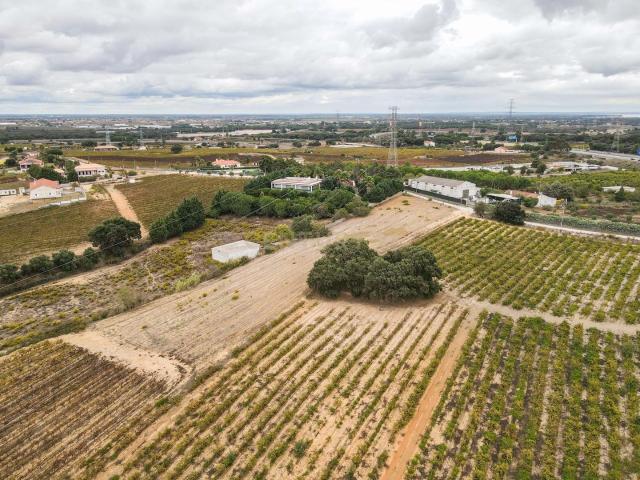 Lote Terreno em Palmela, 4780m2, viabilidade 120m2