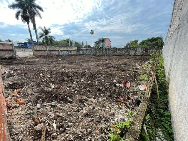 Lote / Terreno en Renta en Copa de Oro