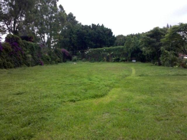 Lote / Terreno en Renta en Chamilpa