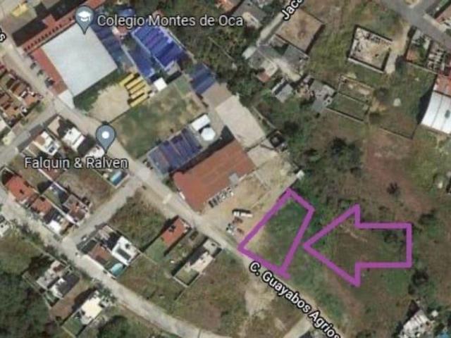 Lote / Terreno en Renta en Lomas de Zompantle
