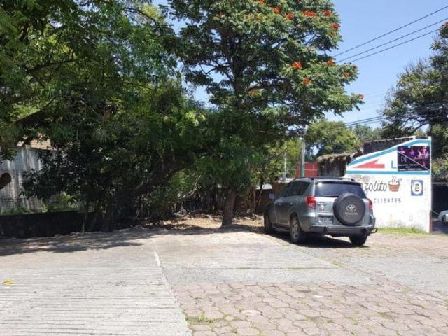 Lote / Terreno en Renta en Tetela del Monte
