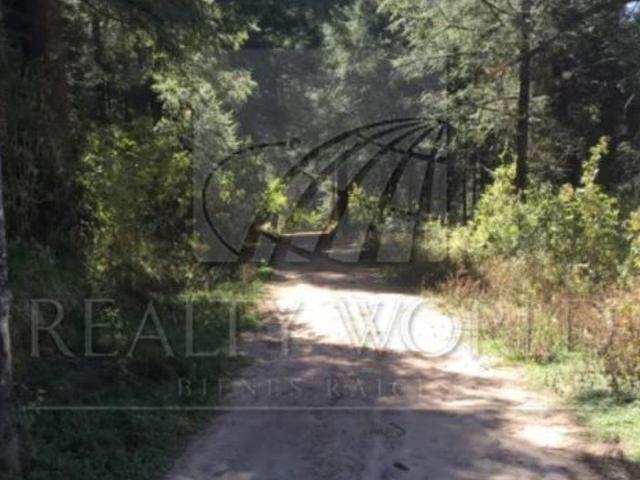 003 00251 TV Lote / Terreno en Venta en Campestre Villa Alpina