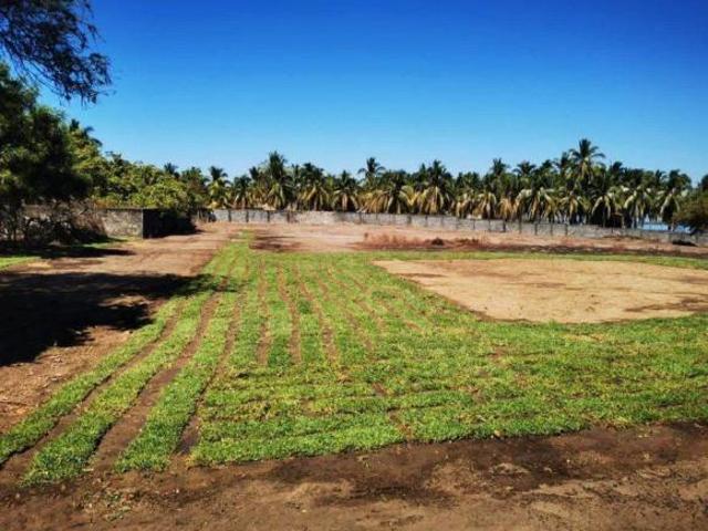 Lote / Terreno en Venta en Barra de Coyuca