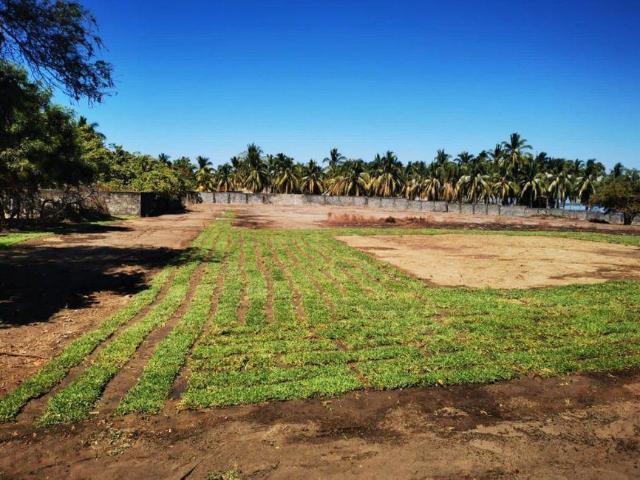 Lote / Terreno en Venta en Barra de Coyuca