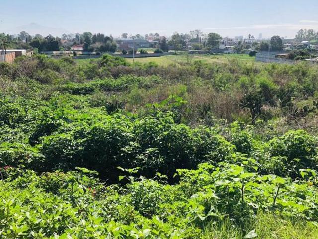 LOTE / TERRENO EN VENTA EN EL CENTRO DE CHIPILO PUEBLA