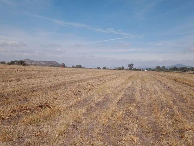 Lote / Terreno en Venta en El Vegil