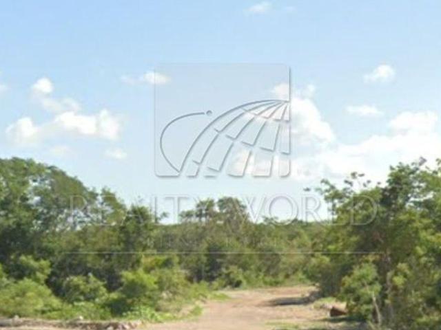 003 00700 TV Lote / Terreno en Venta en M?rida
