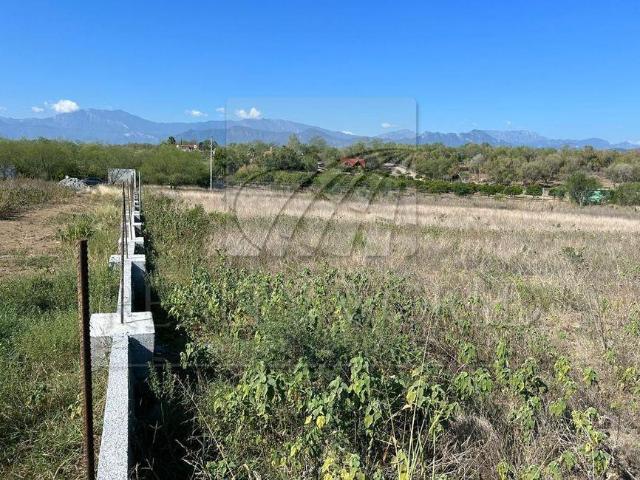 003 00463 TV Lote / Terreno en Venta en Allende, N.L