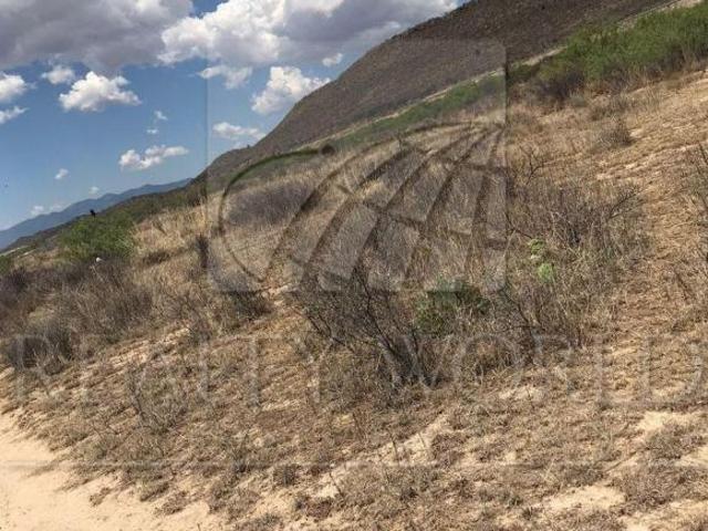 Lote / Terreno en Venta Saltillo, Coahuila