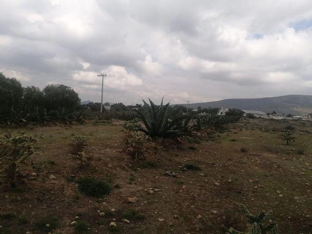 Lote / Terreno en Venta en San Miguel Tornacuxtla