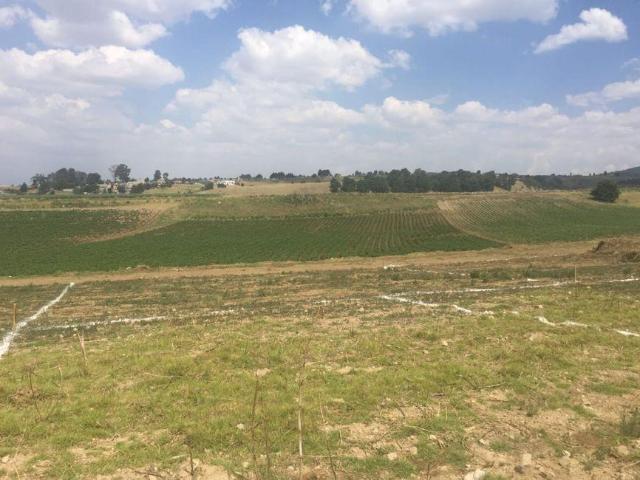 Lote / Terreno en Venta en San Crist?bal Tecolit