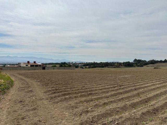 Lote / Terreno en Venta en Santa Mar?a Nativitas