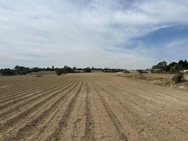Lote / Terreno en Venta en Santa Mar?a Nativitas