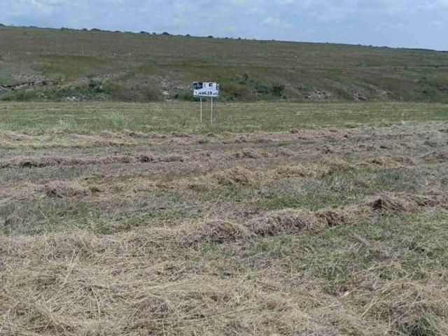 Lote / Terreno en Venta en Silao Centro