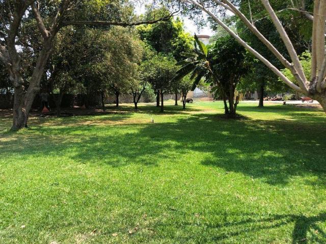Lote / Terreno en Venta en Ticuman