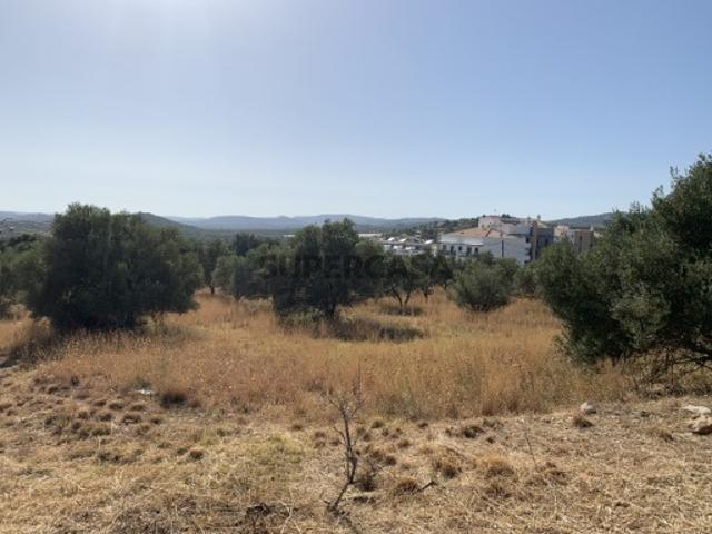 LOTE TERRENO LOULÉ FARO
