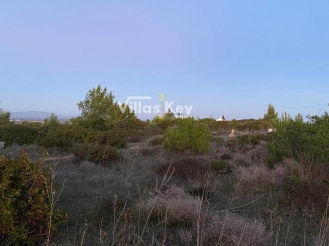 Lote terreno localizado numa zona calma perto da praia