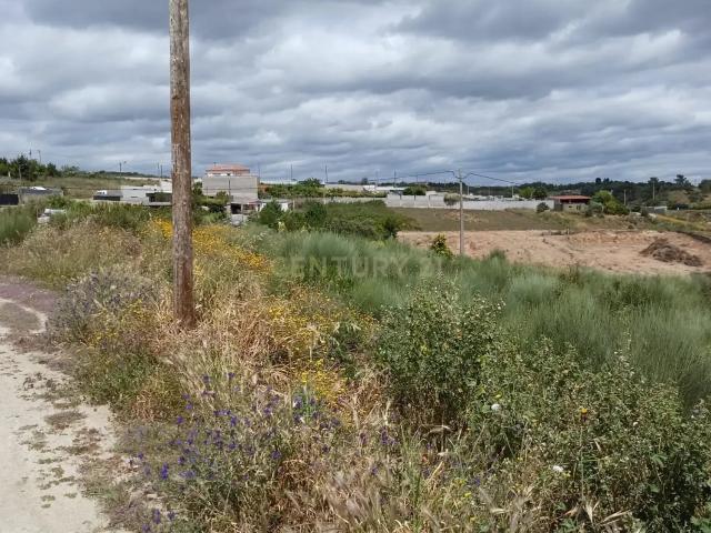 Lote Terreno para construção em Bairro N Sra Valongo, Castelo Branco